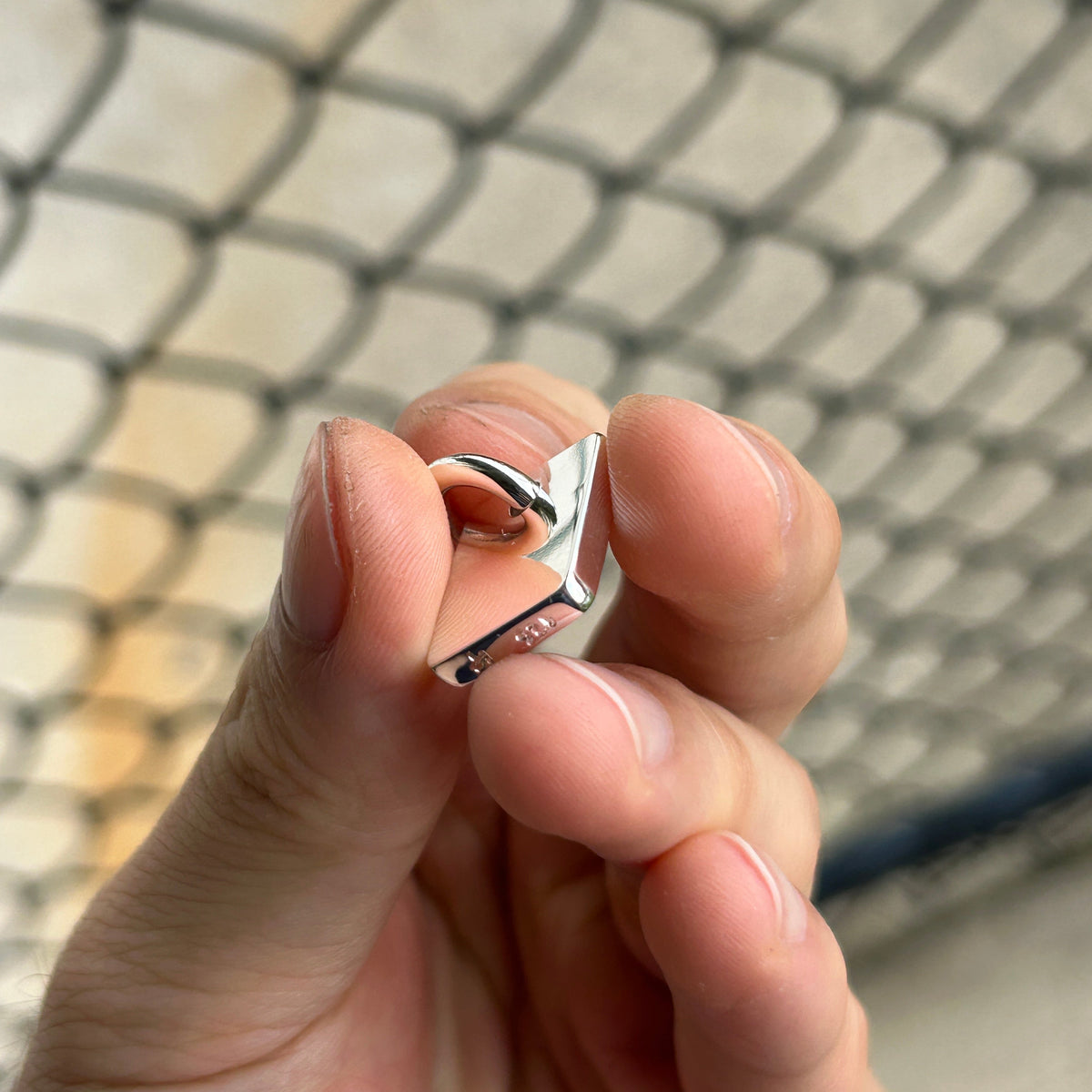 Double Fish Pendant